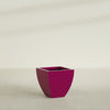 Lima Medium Tapered Square Fiberglass Planter - 20 in x 20 in x 20 in - Gloss Eggplant - Gloss Eggplant,20 in x 20 in x 20 in