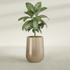 Tall Hayden Medium Round Fiberglass Planter - 15 in x 15 in x 23 in - Metallic Gold - Metallic Gold,15 in x 15 in x 23 in