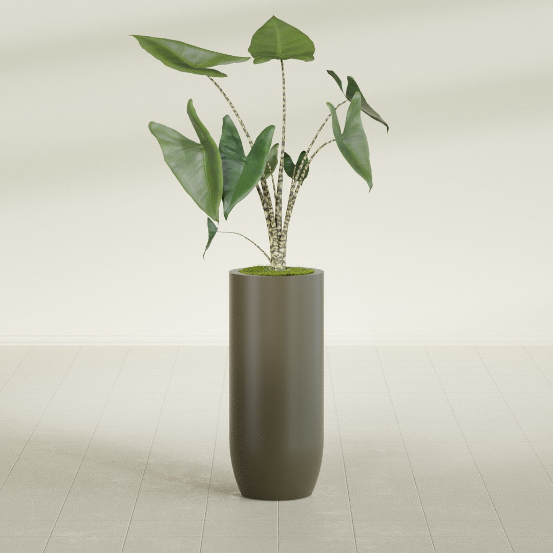 Saint Tropez Large Tall Round Fiberglass Planter - 16 in x 16 in x 38 in - Matte Bronze - Matte Bronze,16 in x 16 in x 38 in