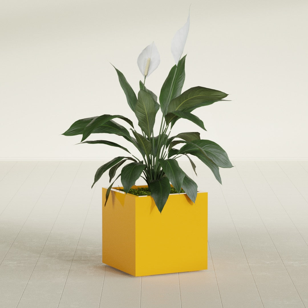 Montroy Medium Cube Square Fiberglass Planter - 20 in x 20 in x 20 in - Gloss Saffron - Gloss Saffron,20 in x 20 in x 20 in