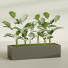 Torino Extra Large Wide Rectangle Fiberglass Planter - 72 in x 24 in x 18 in - Matte Bronze - Matte Bronze,72 in x 24 in x 18 in