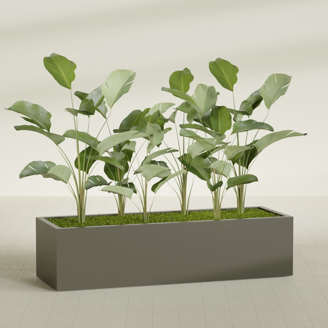 Torino Extra Large Wide Rectangle Fiberglass Planter - 72 in x 24 in x 18 in - Matte Bronze - Matte Bronze,72 in x 24 in x 18 in