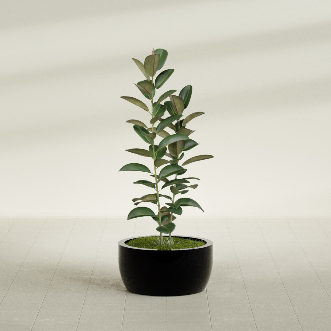 Casablanca Medium Round Low Bowl Fiberglass Planter - 24 in x 24 in x 12 in - Gloss Black - Gloss Black,24 in x 24 in x 12 in