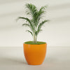 Wannsee Large Round Fiberglass Planter - 44 in x 44 in x 39 in - Gloss Tangerine - Gloss Tangerine,44 in x 44 in x 39 in