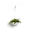 Hanging Brussels Small Bowl Planter - 13 in x 13 in x 6.5 in - Pure White - Pure White,13 in x 13 in x 6.5 in