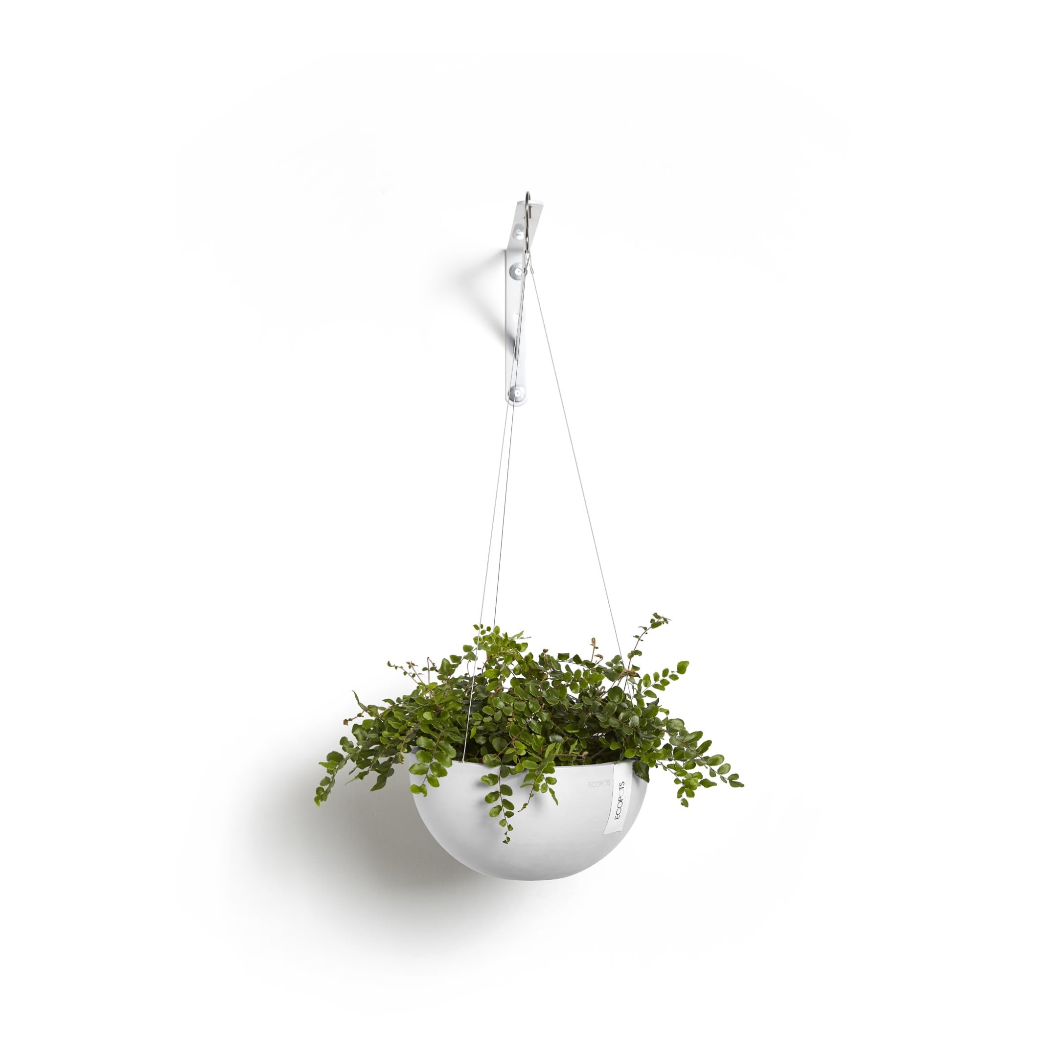 Hanging Brussels Small Bowl Planter - 13 in x 13 in x 6.5 in - Pure White - Pure White,13 in x 13 in x 6.5 in