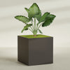 Montroy Extra Large Cube Square Fiberglass Planter - 60 in x 60 in x 60 in - Matte Brown - Matte Brown,60 in x 60 in x 60 in