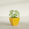 Lima Small Tapered Square Fiberglass Planter - 16 in x 16 in x 16 in - Gloss Saffron - Gloss Saffron,16 in x 16 in x 16 in