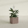 Cube - 24in x 24in x 24in - StoneLight - Sunstone - StoneLight - Sunstone,24 in x 24 in x 24 in