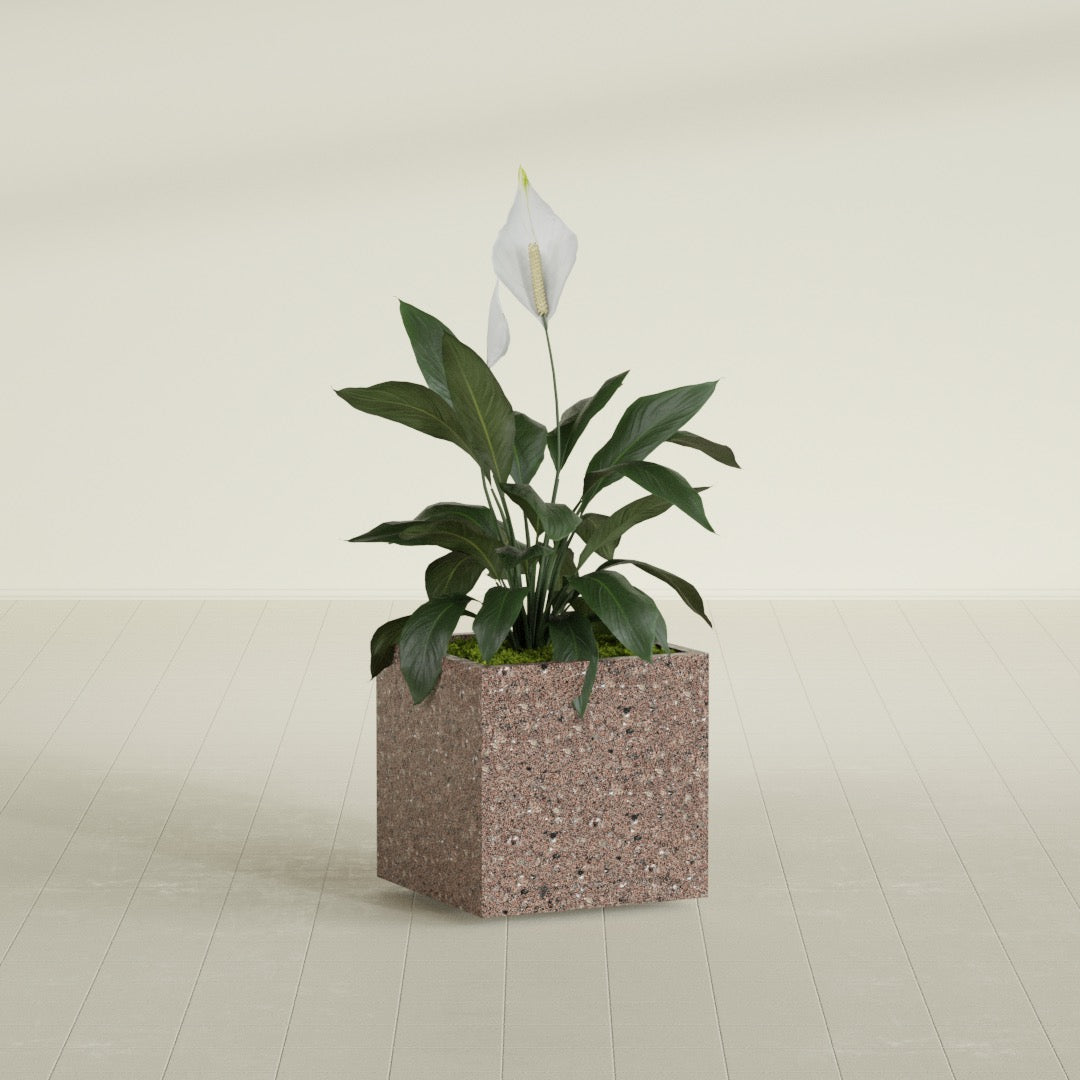 Cube - 24in x 24in x 24in - StoneLight - Sunstone - StoneLight - Sunstone,24 in x 24 in x 24 in