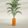 Corry Medium Tall Cylinder Fiberglass Planter - 10 in x 10 in x 20 in - Gloss Tangerine - Gloss Tangerine,10 in x 10 in x 20 in