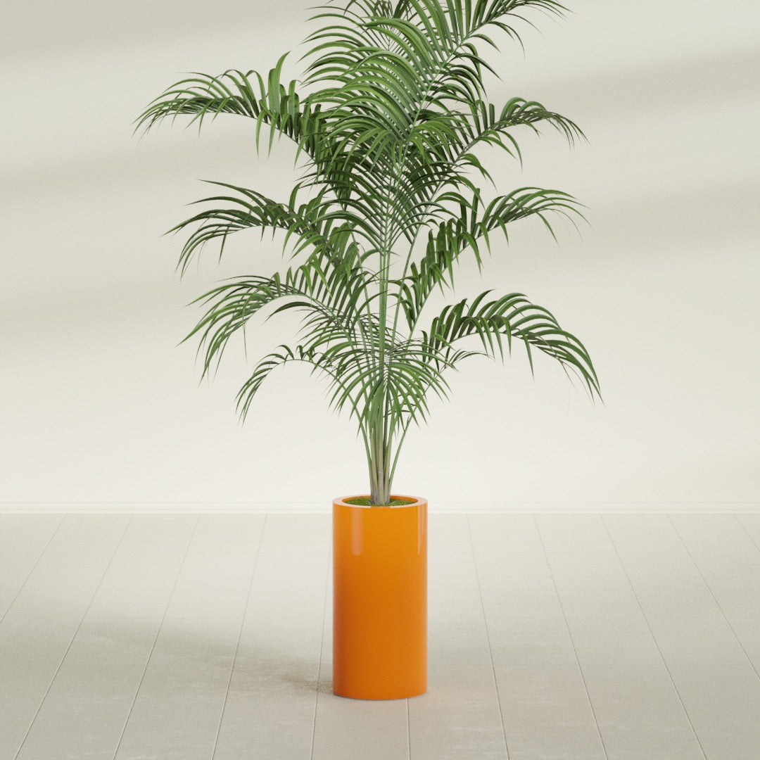 Corry Medium Tall Cylinder Fiberglass Planter - 10 in x 10 in x 20 in - Gloss Tangerine - Gloss Tangerine,10 in x 10 in x 20 in
