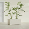 Badalona Large Tall Rectangle Fiberglass Planter - 39 in x 17 in x 17 in - Satin Beige - Satin Beige,39 in x 17 in x 17 in