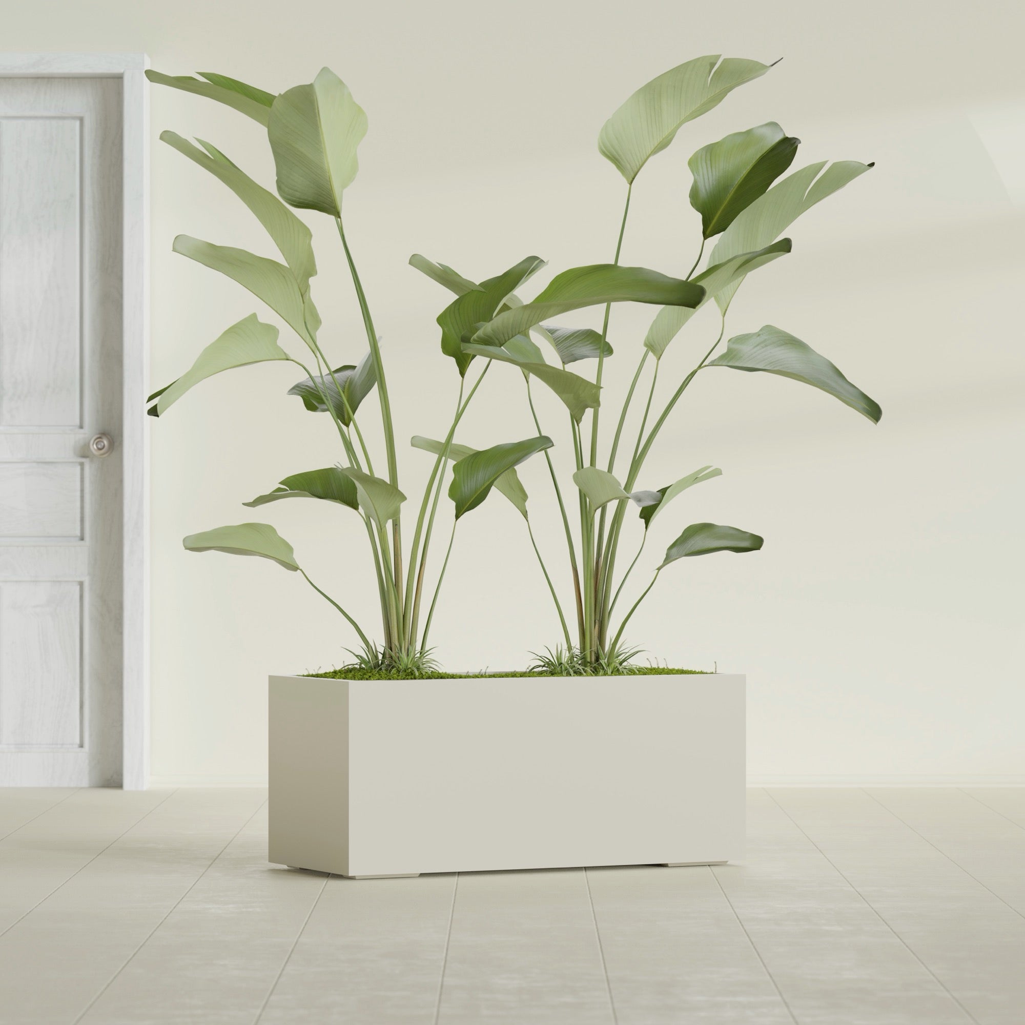 Badalona Large Tall Rectangle Fiberglass Planter - 39 in x 17 in x 17 in - Satin Beige - Satin Beige,39 in x 17 in x 17 in