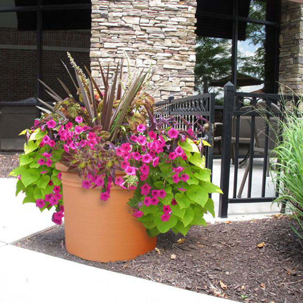 Cylinder - 60.3in diam. x 35in