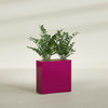 Milano Medium Narrow Rectangle Fiberglass Planter - 24 in x 10 in x 24 in - Gloss Eggplant - Gloss Eggplant,24 in x 10 in x 24 in