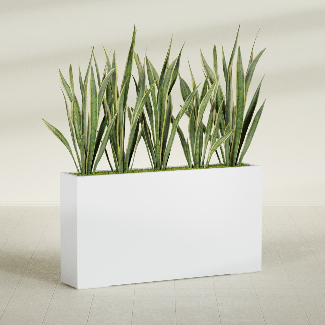 Delray Extra Large Long Rectangle Fiberglass Planter - 60 in x 12 in x 32 in - Gloss White - Gloss White,60 in x 12 in x 32 in
