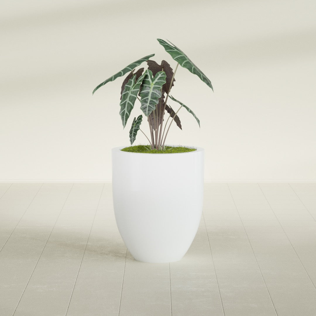 Valencia Medium Round Fiberglass Planter - 20 in x 20 in x 23 in - Matte White - Matte White,20 in x 20 in x 23 in
