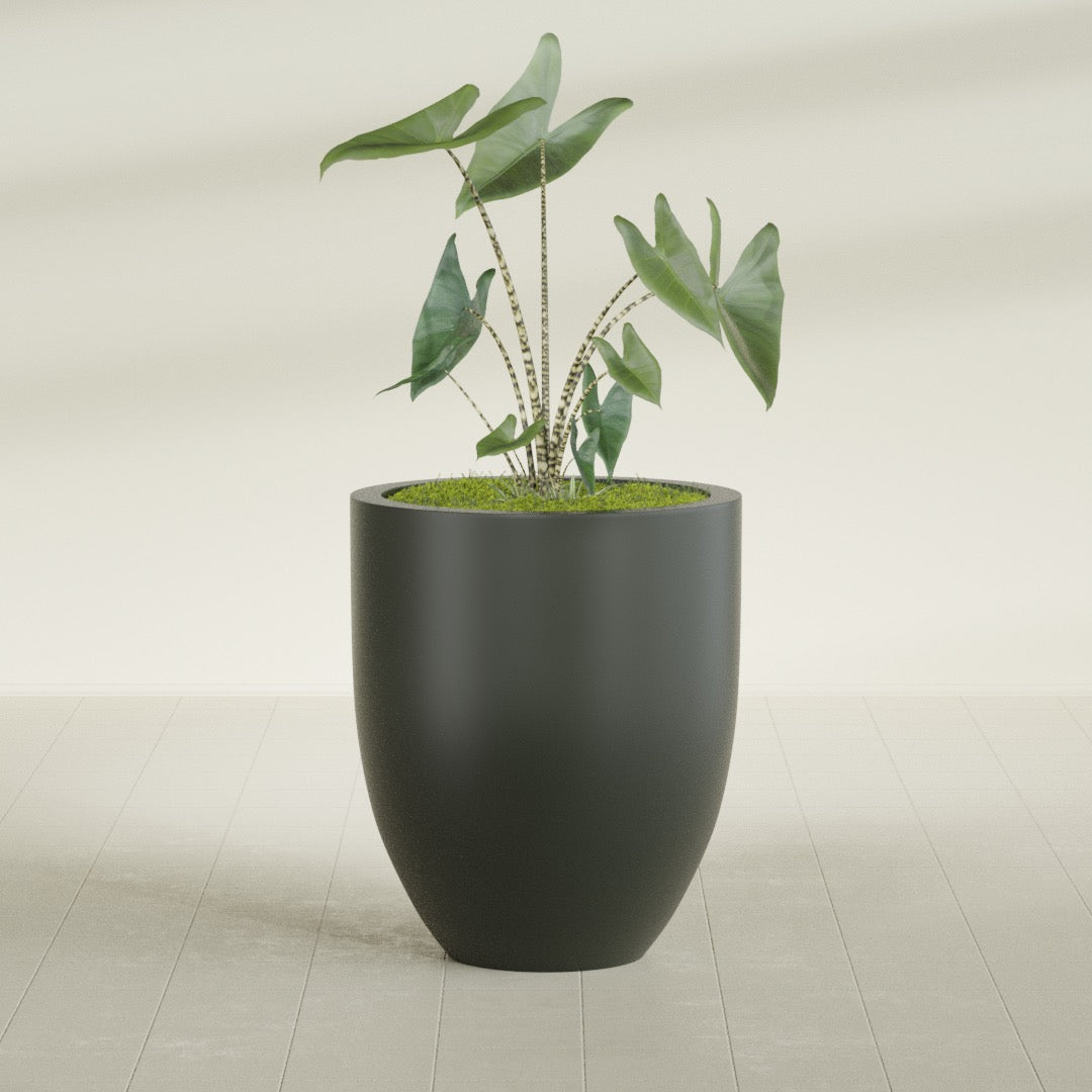 Valencia Large Round Fiberglass Planter - 27 in x 27 in x 31 in - Matte Charcoal - Matte Charcoal,27 in x 27 in x 31 in