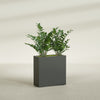 Milano Medium Narrow Rectangle Fiberglass Planter - 24 in x 10 in x 24 in - Matte Charcoal - Matte Charcoal,24 in x 10 in x 24 in