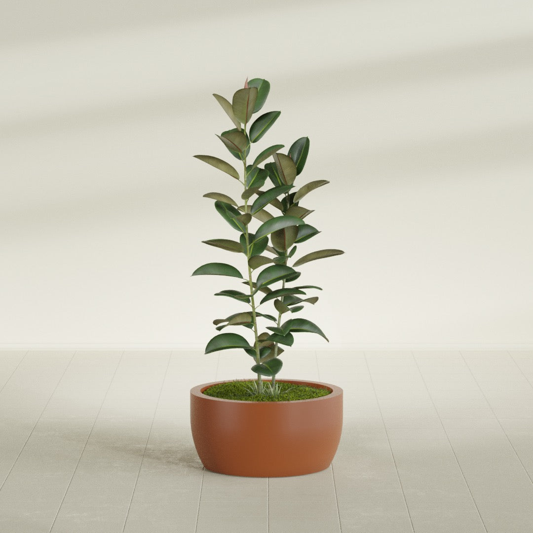 Casablanca Medium Round Low Bowl Fiberglass Planter - 24 in x 24 in x 12 in - Matte Terracotta - Matte Terracotta,24 in x 24 in x 12 in