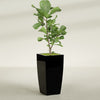 Toulan Large Tall Tapered Square Fiberglass Planter - 18 in x 18 in x 36 in - Gloss Black - Gloss Black,18 in x 18 in x 36 in