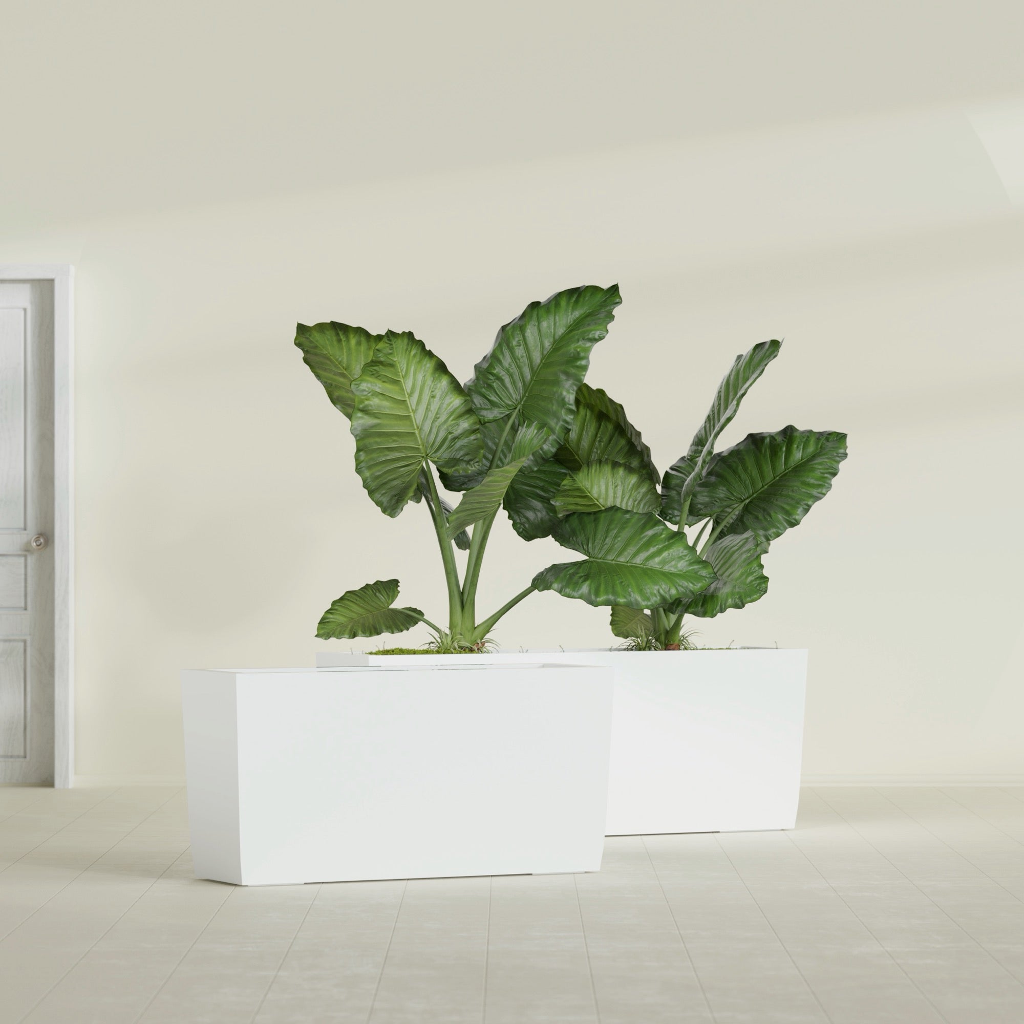 Panama Extra Large Long Rectangle Fiberglass Planter - 48 in x 12 in x 18 in - Gloss White - Gloss White,48 in x 12 in x 18 in