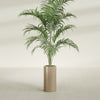 Corry Medium Tall Cylinder Fiberglass Planter - 10 in x 10 in x 20 in - Metallic Gold - Metallic Gold,10 in x 10 in x 20 in