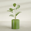 Rio Grande Medium Round Fiberglass Planter - 18 in x 18 in x 20 in - Satin Green - Satin Green,18 in x 18 in x 20 in