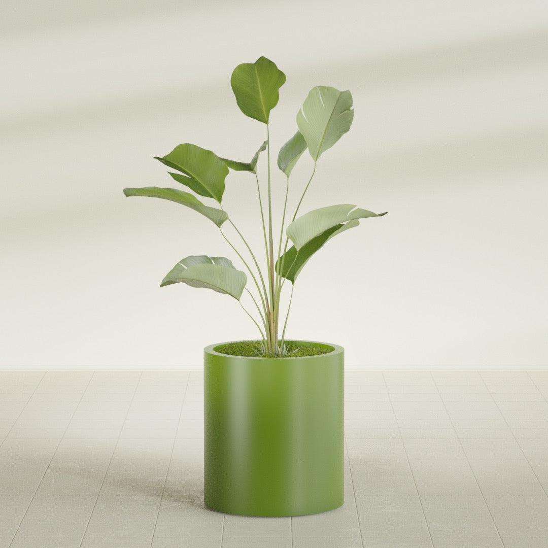 Rio Grande Medium Round Fiberglass Planter - 18 in x 18 in x 20 in - Satin Green - Satin Green,18 in x 18 in x 20 in