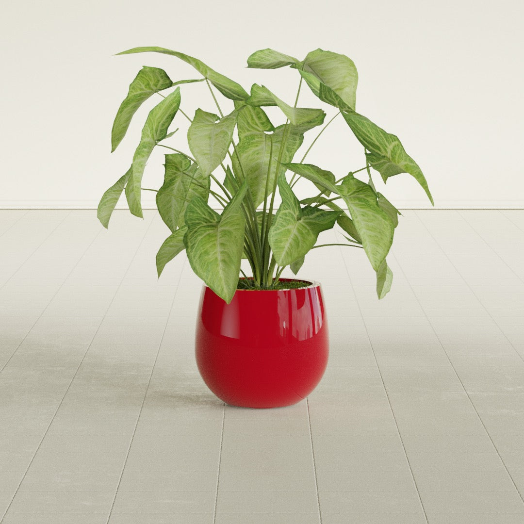 Westfield - 10in diam. x 9in - Gloss Red - Gloss Red,10 in diam. x 9 in H