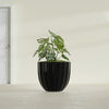 Santa Barbara Medium Round Fiberglass Planter - 23 in x 23 in x 20.3 in - Gloss Black - Gloss Black,23 in x 23 in x 20 in