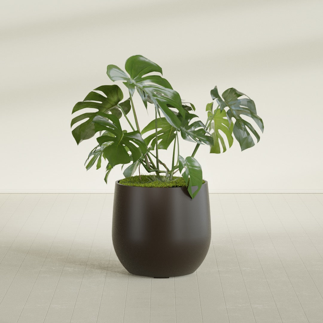 Westfield - 27in diam. x 25in - Matte Brown - Matte Brown,27 in diam. x 25 in H