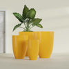 Brannan Medium Round Fiberglass Planter - 18 in x 18 in x 29 in - Gloss Saffron - Gloss Saffron,18 in x 18 in x 29 in
