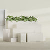 Miami Small Rectangle Fiberglass Planter - 12 in x 12 in x 18 in - Satin Beige - Satin Beige,12 in x 12 in x 18 in
