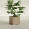 Montroy Medium Cube Square Fiberglass Planter - 28 in x 28 in x 28 in - Metallic Gold - Metallic Gold,28 in x 28 in x 28 in