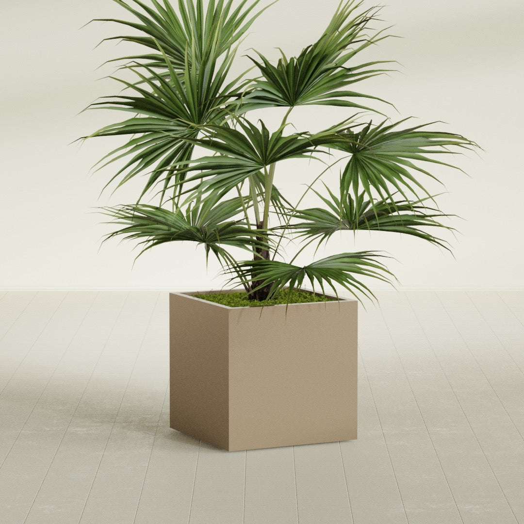 Montroy Medium Cube Square Fiberglass Planter - 28 in x 28 in x 28 in - Metallic Gold - Metallic Gold,28 in x 28 in x 28 in
