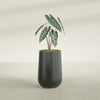 Tall Hayden Medium Round Fiberglass Planter - 12 in x 12 in x 20 in - Matte Charcoal - Matte Charcoal,12 in x 12 in x 20 in