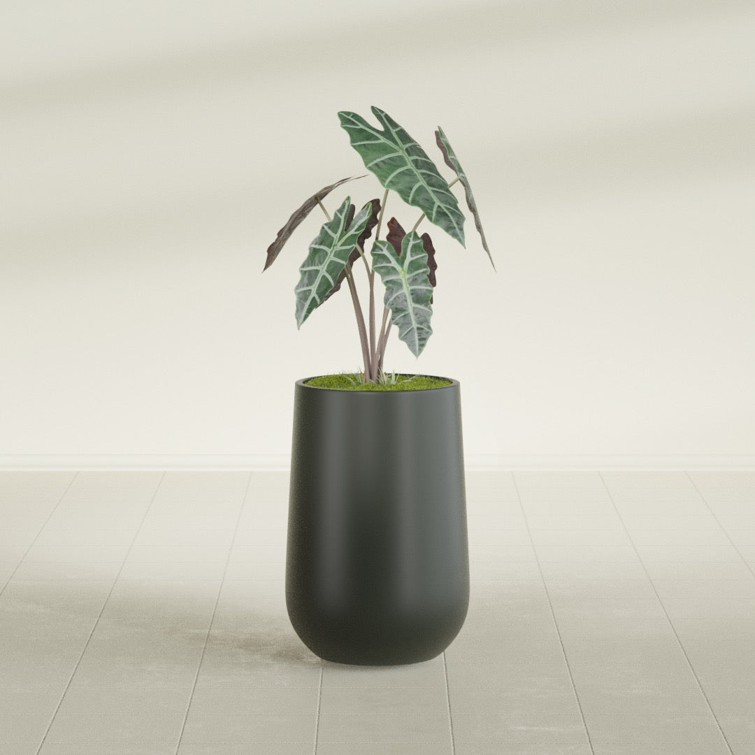 Tall Hayden Medium Round Fiberglass Planter - 12 in x 12 in x 20 in - Matte Charcoal - Matte Charcoal,12 in x 12 in x 20 in