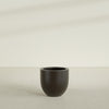 Alzira Medium Round Fiberglass Planter - 23 in x 23 in x 22 in - Matte Brown - Matte Brown,23 in x 23 in x 22 in
