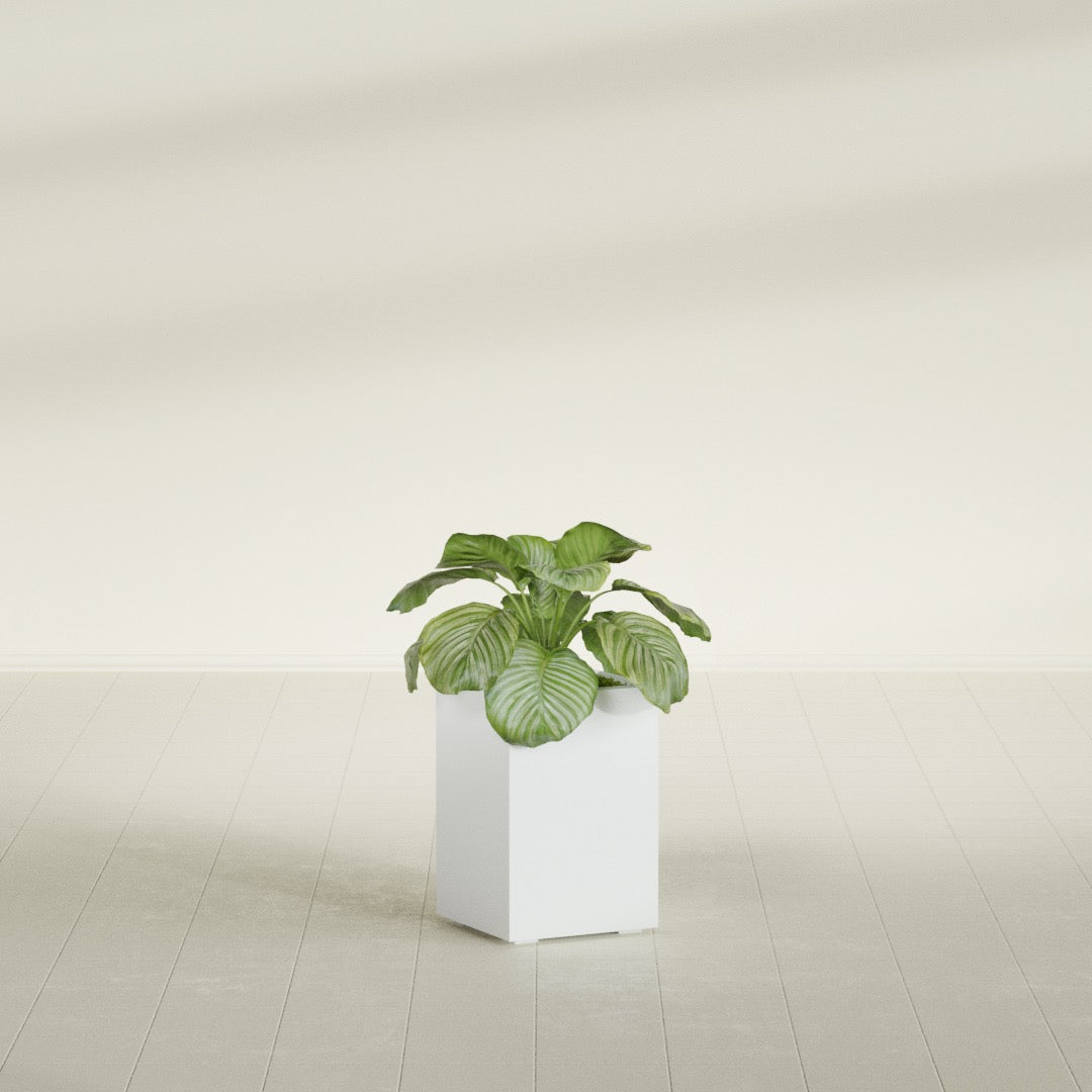 Miami Small Rectangle Fiberglass Planter - 12 in x 12 in x 18 in - Matte White - Matte White,12 in x 12 in x 18 in