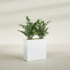Milano Medium Narrow Rectangle Fiberglass Planter - 24 in x 10 in x 24 in - Matte White - Matte White,24 in x 10 in x 24 in