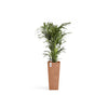 Rotterdam High Medium Square Planter - 12.6 in x 12.6 in x 27.5 in - Terracotta - Terracotta,12.5 in x 12.5 in x 27.5 in,Planter Only