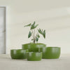Casablanca Large Round Low Bowl Fiberglass Planter - 36 in x 36 in x 18 in - Satin Green - Satin Green,36 in x 36 in x 18 in