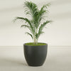 Wannsee Large Round Fiberglass Planter - 39 in x 39 in x 34 in - Matte Charcoal - Matte Charcoal,39 in x 39 in x 34 in