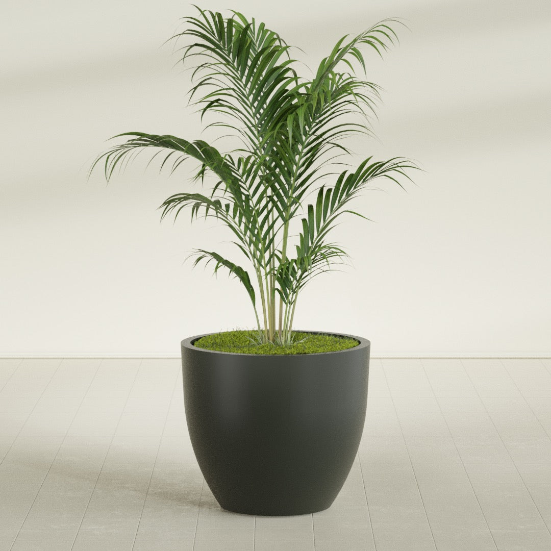Wannsee Large Round Fiberglass Planter - 39 in x 39 in x 34 in - Matte Charcoal - Matte Charcoal,39 in x 39 in x 34 in