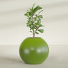 Globe Large Sphere Fiberglass Planter - 36 in x 36 in x 30 in - Satin Green - Satin Green,36 in x 36 in x 30 in