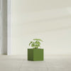 Monaco Square - 7in x 7in x 7 - Satin Green - Satin Green,7 in x 7 in x 7 in