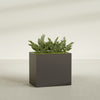 Brisbane Large Rectangle Fiberglass Planter - 36 in x 24 in x 32 in - Matte Brown - Matte Brown,36 in x 24 in x 32 in