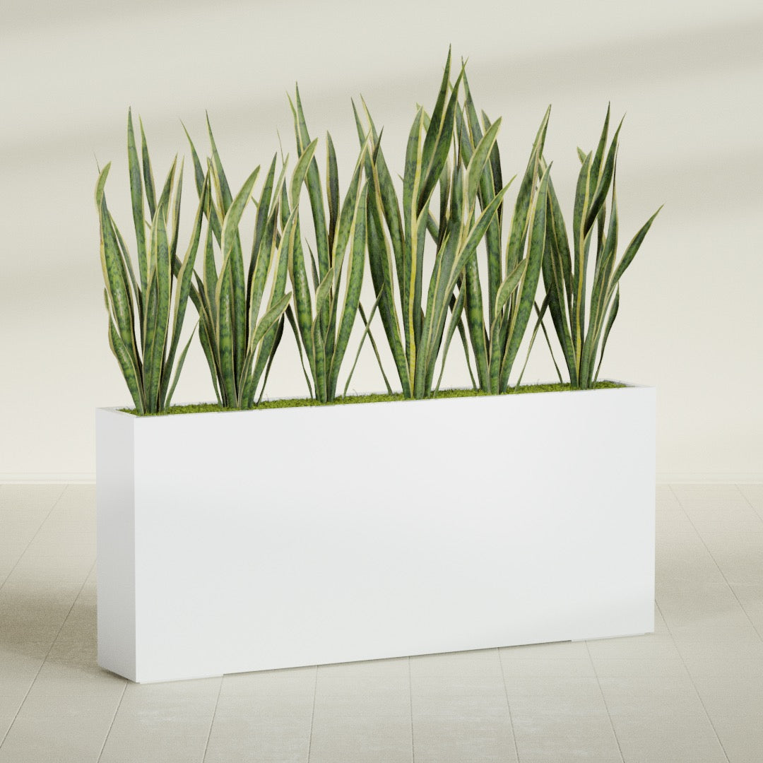 Delray Extra Large Long Rectangle Fiberglass Planter - 72 in x 12 in x 32 in - Matte White - Matte White,72 in x 12 in x 32 in